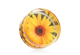 Плаги подсолнух