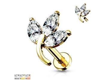 Лабрет антемис